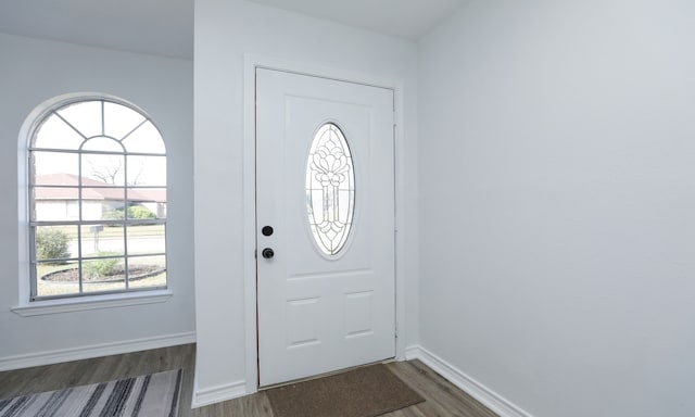 entrance foyer featuring dark hardwood / wood-style flooring and a wealth of natural light