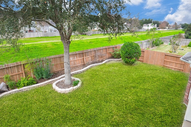 view of yard with a fenced backyard