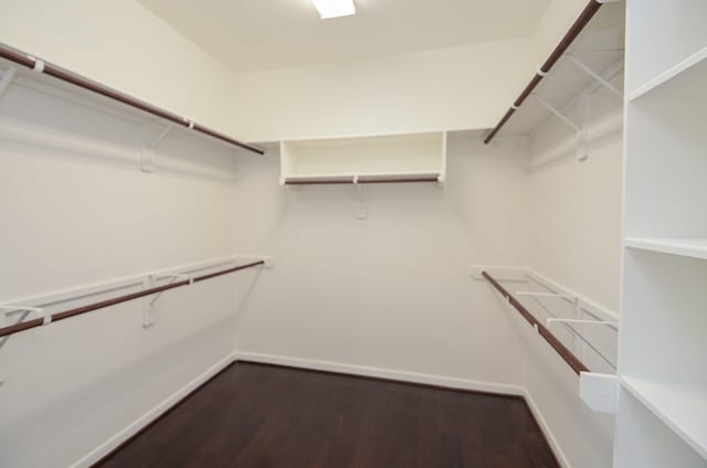 walk in closet with dark wood-style flooring