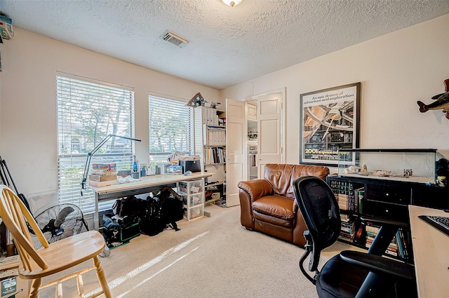 office with light carpet and a textured ceiling