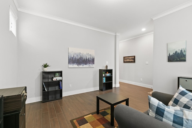 living room featuring crown molding and dark wood-type flooring