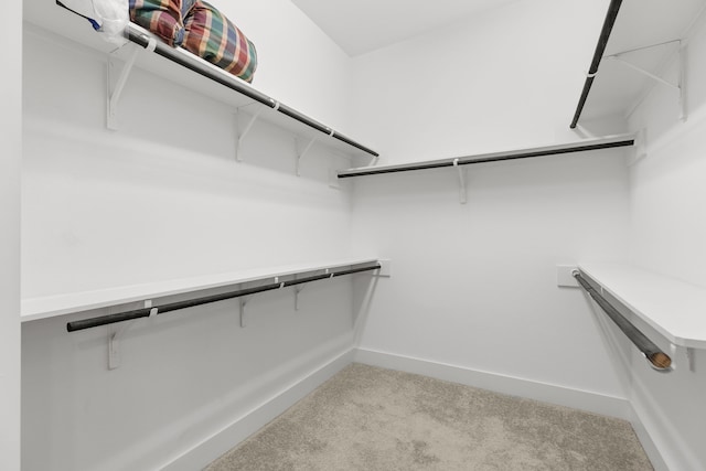 spacious closet with light carpet