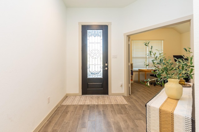 foyer entrance with hardwood / wood-style floors