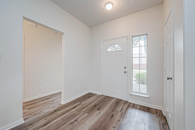 entrance foyer with light hardwood / wood-style floors