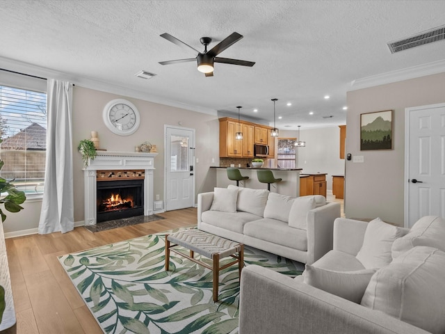 living room featuring a textured ceiling, light hardwood / wood-style flooring, ceiling fan, and crown molding