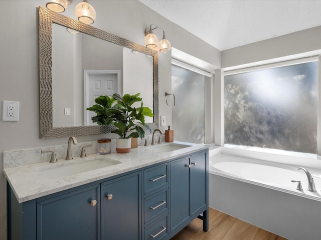 bathroom featuring a washtub, vanity, and hardwood / wood-style floors