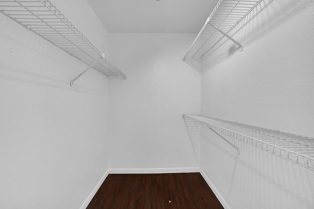 spacious closet with hardwood / wood-style flooring