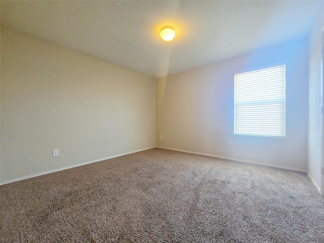 empty room featuring carpet floors