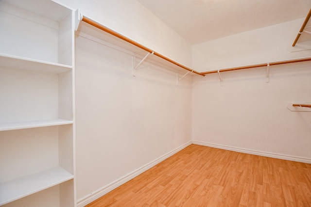 walk in closet featuring light hardwood / wood-style floors