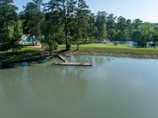 property view of water