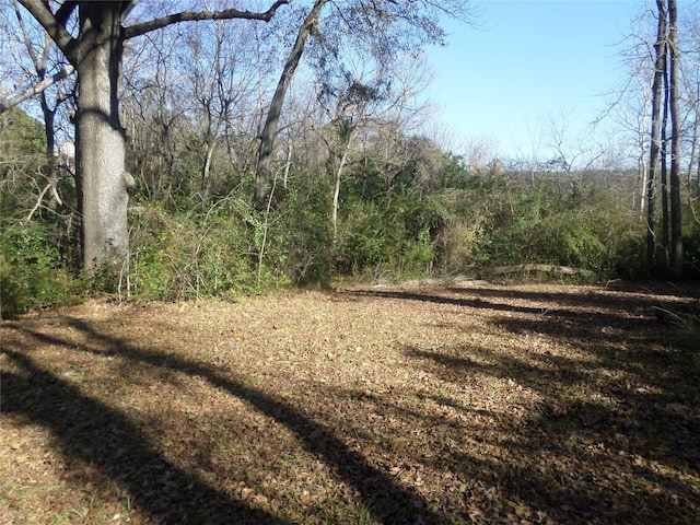 view of local wilderness