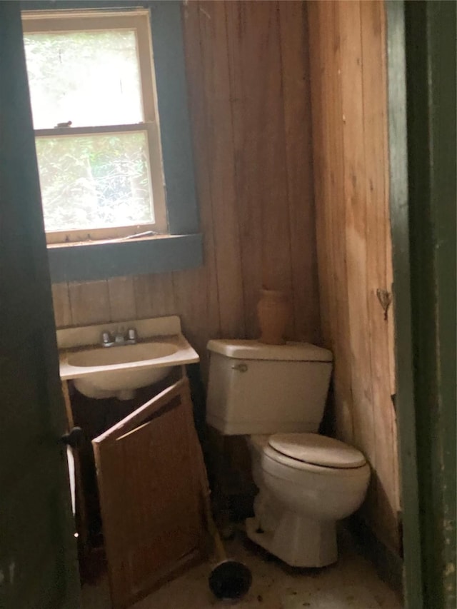 bathroom featuring vanity, wooden walls, toilet, and a healthy amount of sunlight