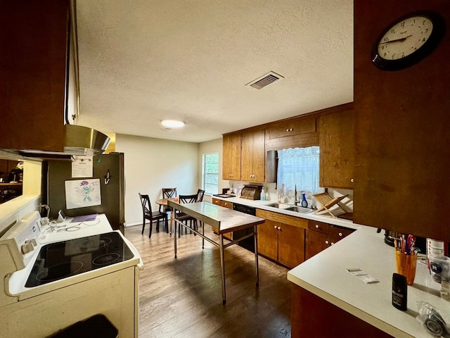 kitchen featuring white electric range, a textured ceiling, light hardwood / wood-style floors, and sink