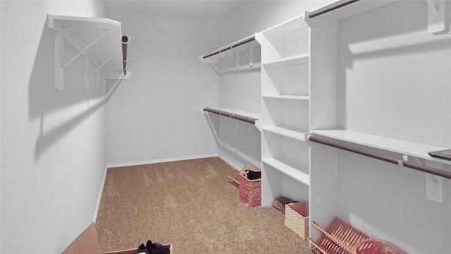 walk in closet with light carpet