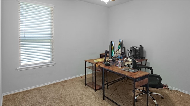 office featuring carpet flooring