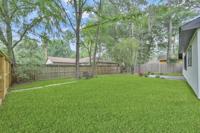 view of yard featuring a patio