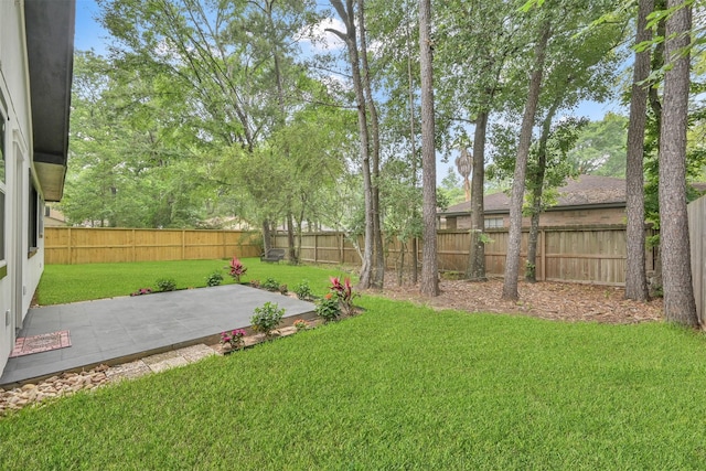 view of yard with a patio