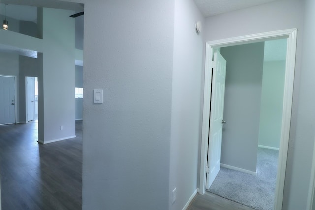 hallway featuring dark wood-type flooring