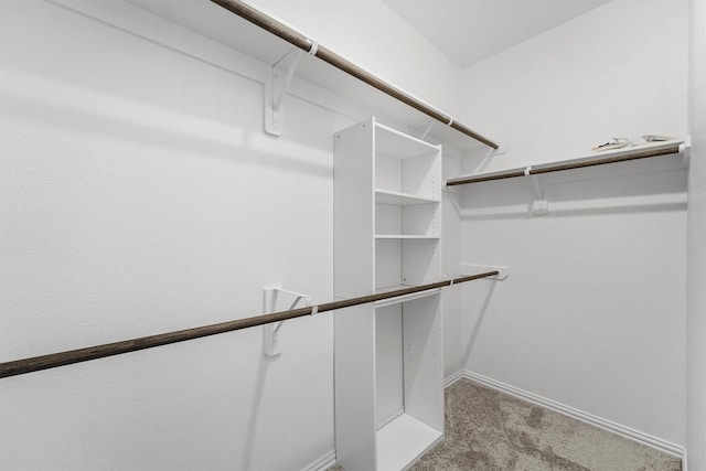 spacious closet with light carpet