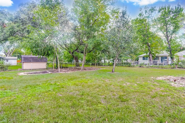 view of yard with a storage shed