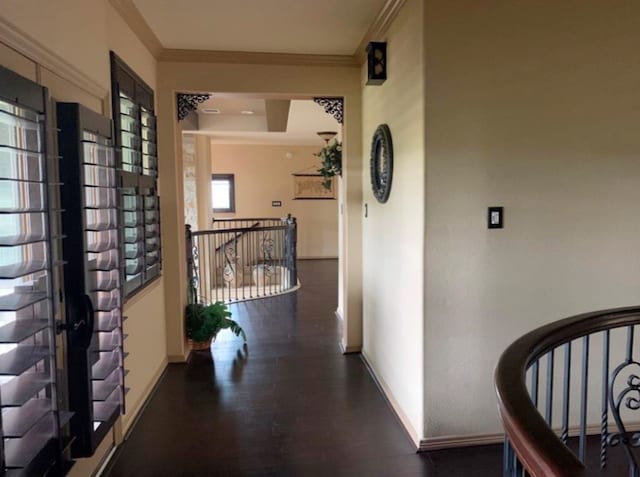 hall featuring dark wood-type flooring and ornamental molding