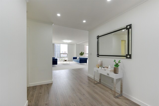 corridor with floor to ceiling windows, light wood-type flooring, and crown molding