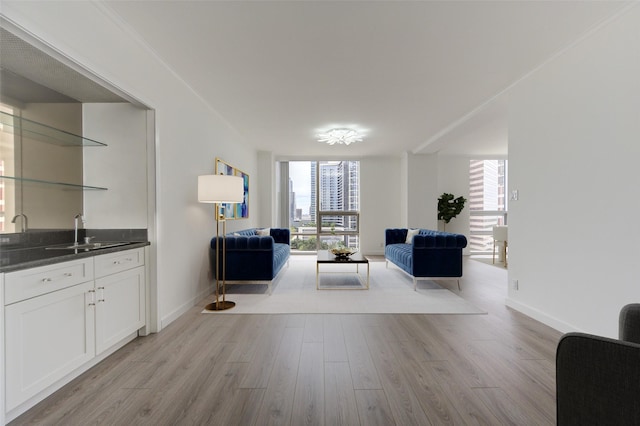 living room with light wood-type flooring, floor to ceiling windows, and sink