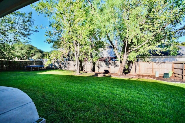 3803 Dewalt Way, Missouri City, TX 77459 - fenced backyard featuring a trampoline