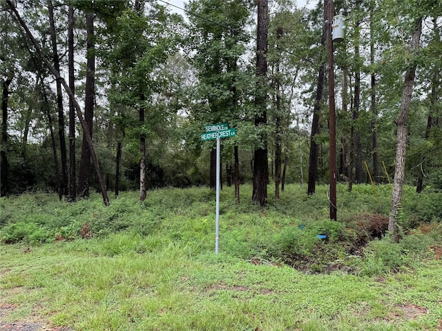 LOT375 Seminole Cir, Onalaska TX, 77360 land for sale