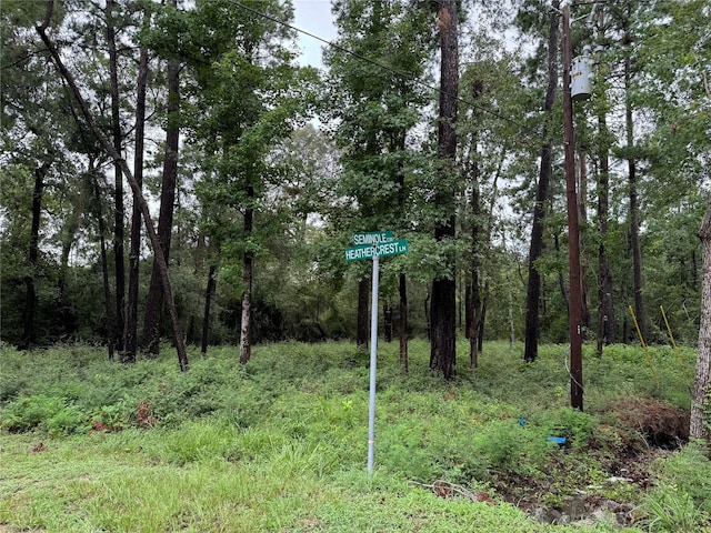 Listing photo 2 for LOT375 Seminole Cir, Onalaska TX 77360