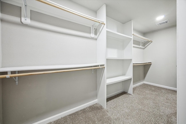 walk in closet with light colored carpet