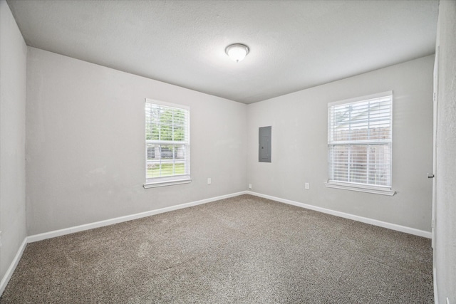 carpeted spare room featuring electric panel and a wealth of natural light