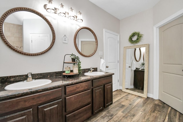 bathroom with hardwood / wood-style floors and vanity