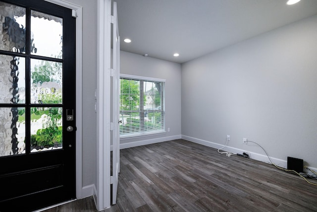 entryway featuring dark wood-type flooring