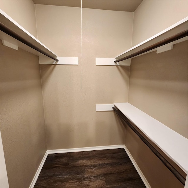 spacious closet featuring dark wood-type flooring