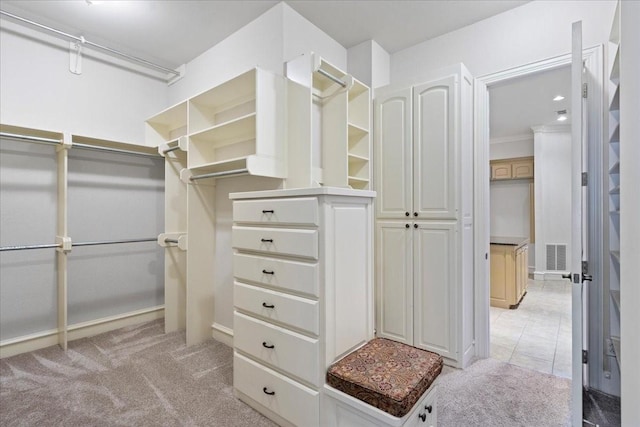 walk in closet with light colored carpet