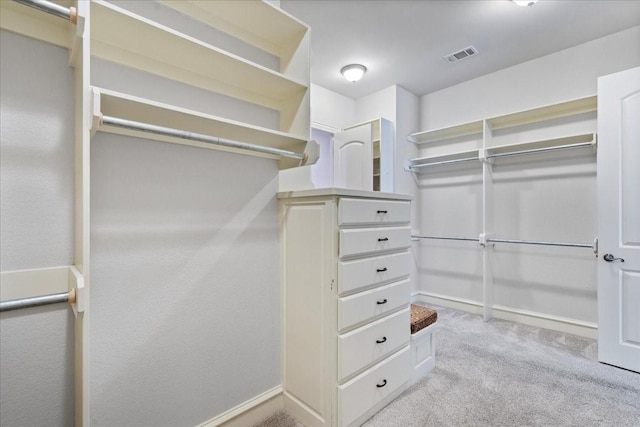 spacious closet featuring light carpet