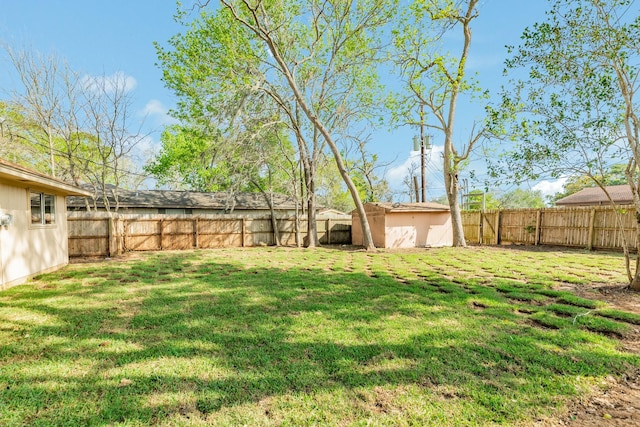 view of yard with a shed