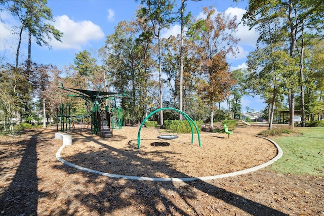 view of jungle gym