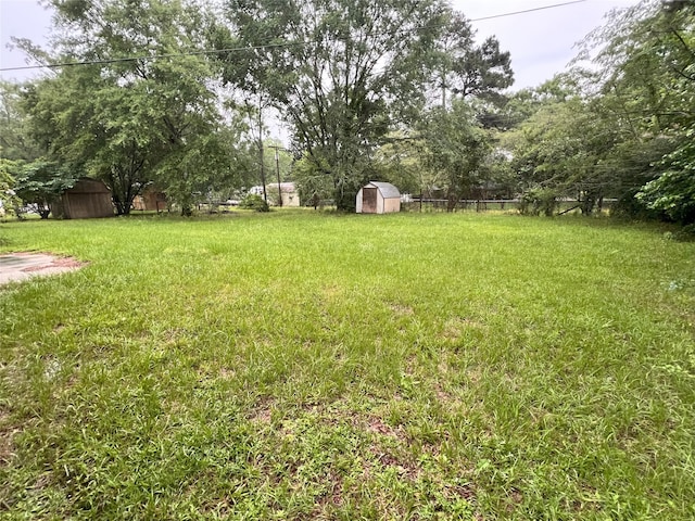 903 US Highway 190 W, Jasper, TX 75951 - view of yard