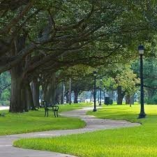 view of property's community featuring a yard