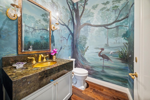 bathroom featuring toilet, vanity, and hardwood / wood-style flooring