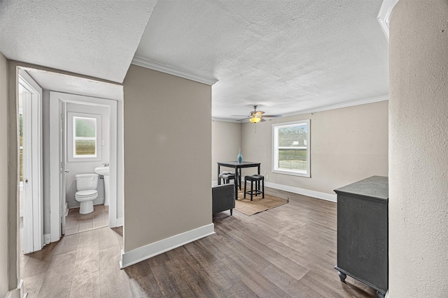 interior space with hardwood / wood-style floors, a textured ceiling, and ornamental molding