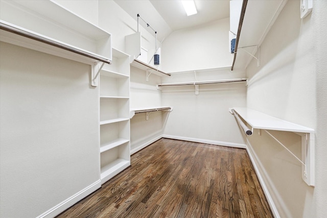 walk in closet featuring dark wood-style floors