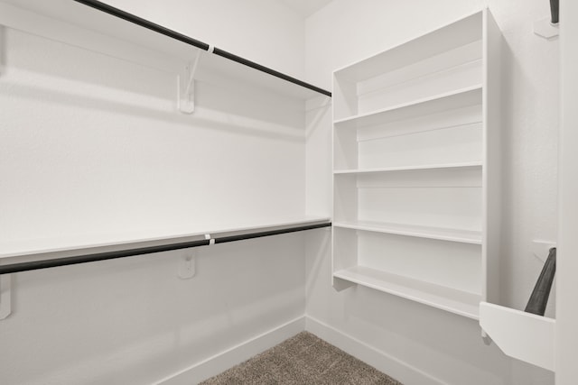 walk in closet featuring carpet