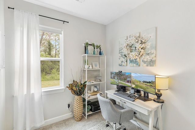 office featuring plenty of natural light and carpet flooring