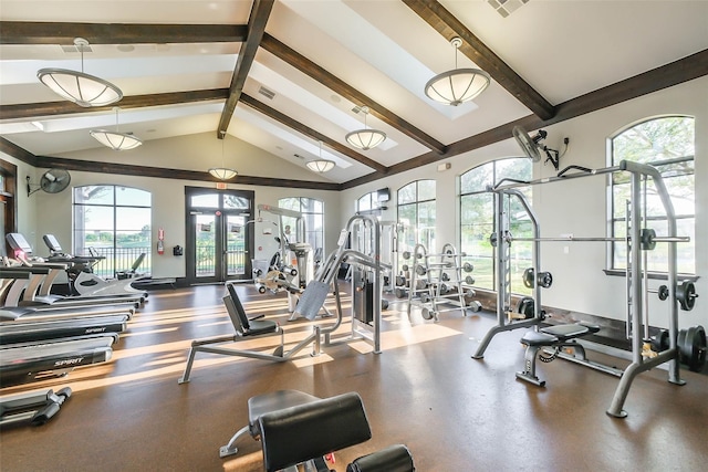 gym with lofted ceiling and a wealth of natural light