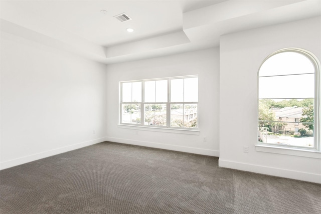 unfurnished room with carpet, a tray ceiling, and a healthy amount of sunlight