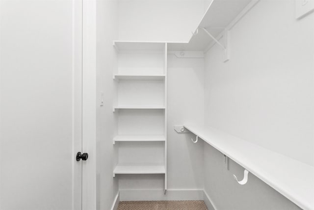 spacious closet with carpet