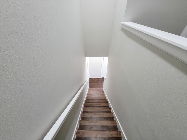 stairway with wood-type flooring